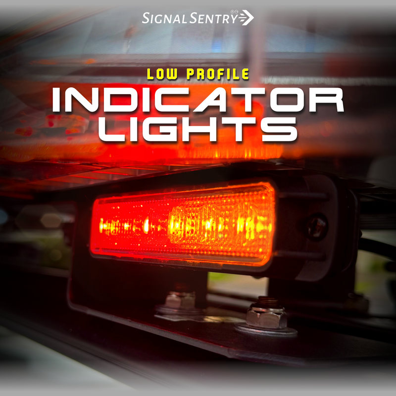 Indicator & Reverse Lights